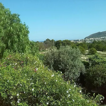 Naranjo Altea
